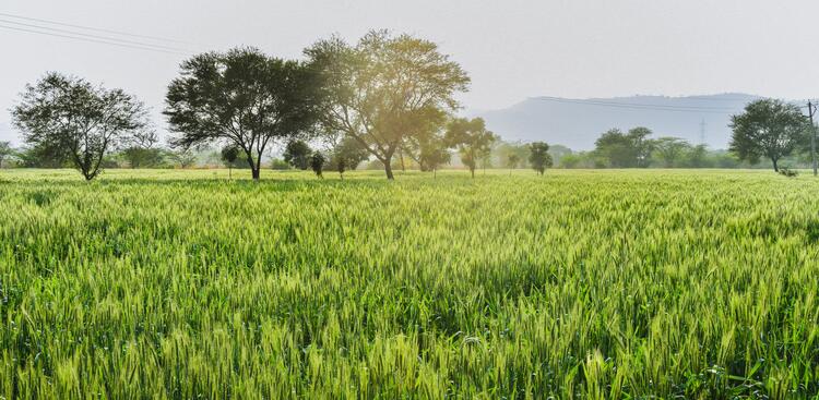 Ajmer